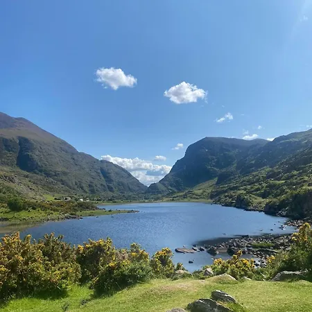 Reeks View *