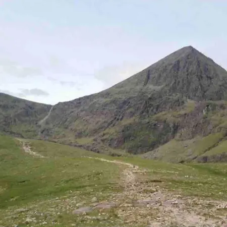 Reeks View