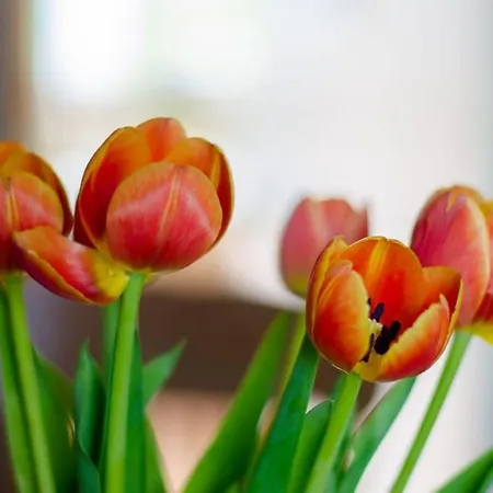 Reeks View Kilgobnet