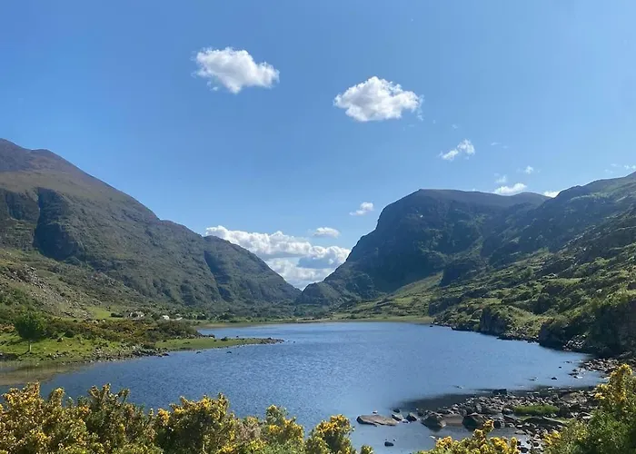 Reeks View *