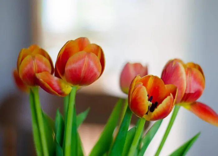 Reeks View Kilgobnet